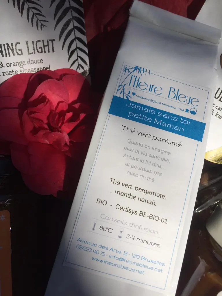 lheurebleue jamais sans toi petite maman.webp