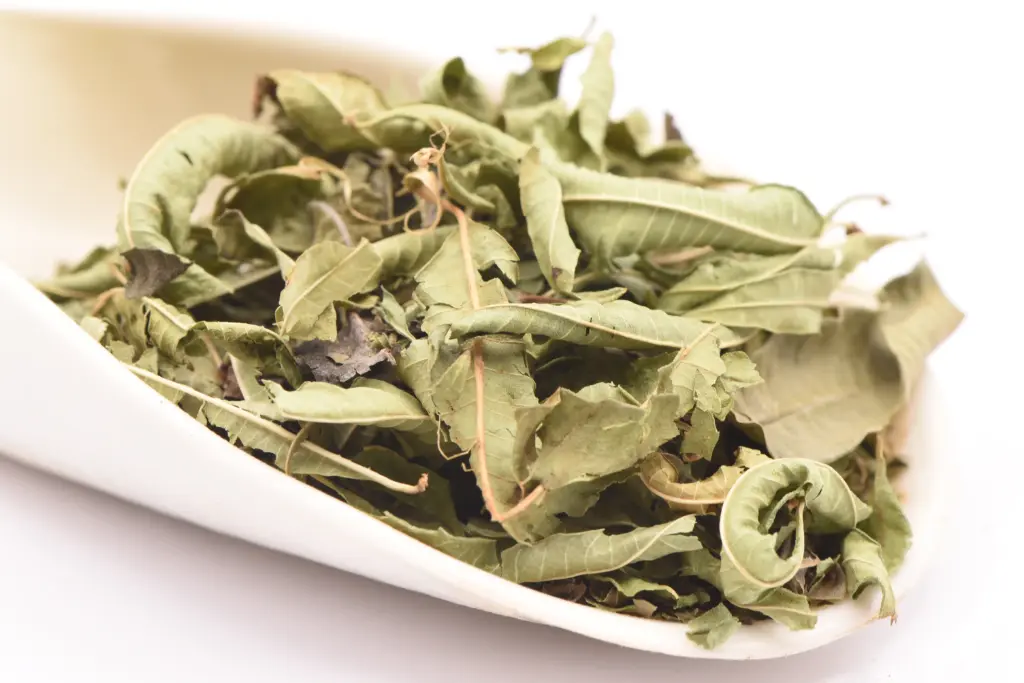 Verveine Odorante -  feuilles entières