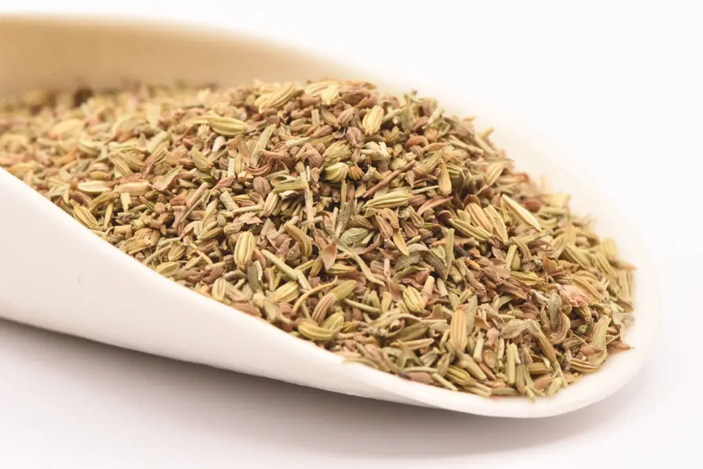 Vacances en Provence  