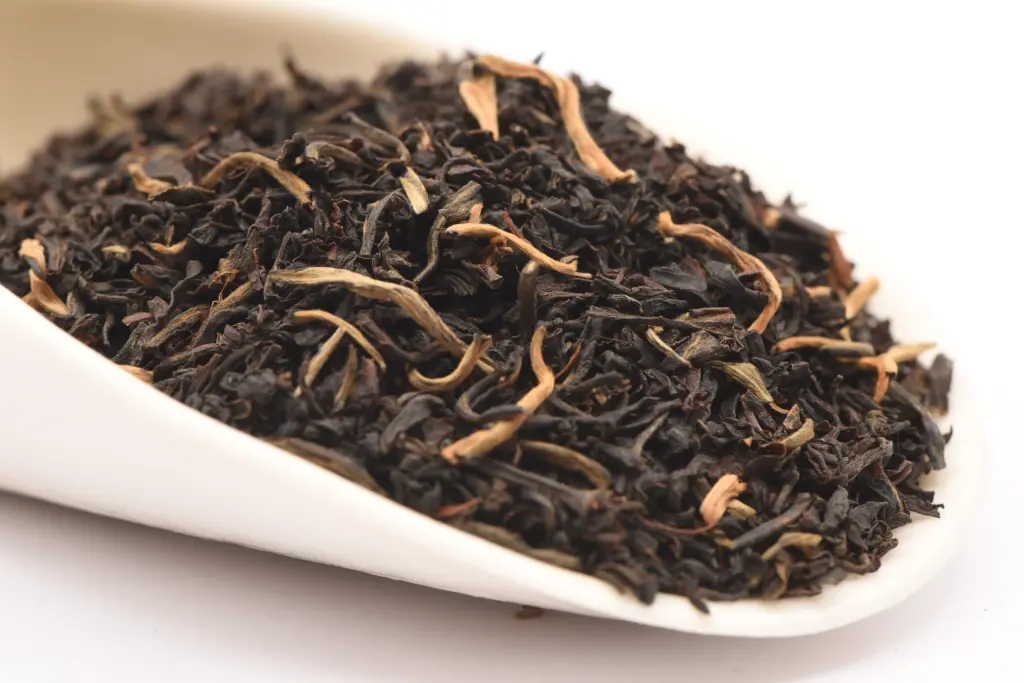 [366072] East Frisian Golden Leaf Blend