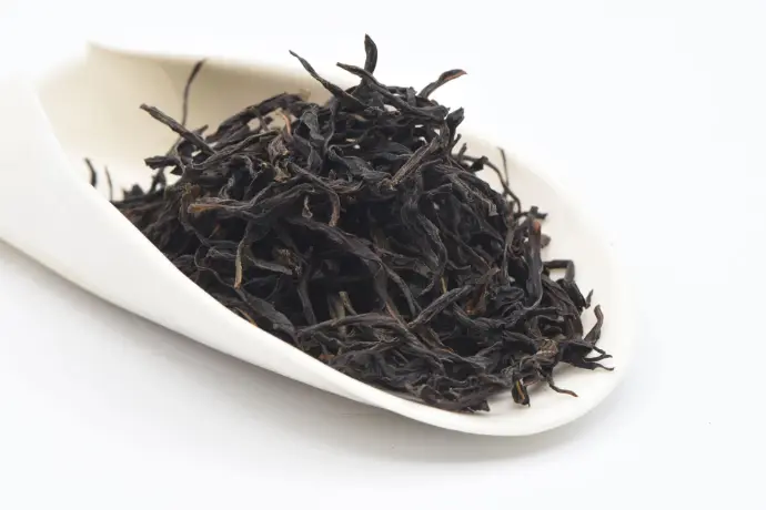 Jiang Mu Xiang 2015 - Dan Cong