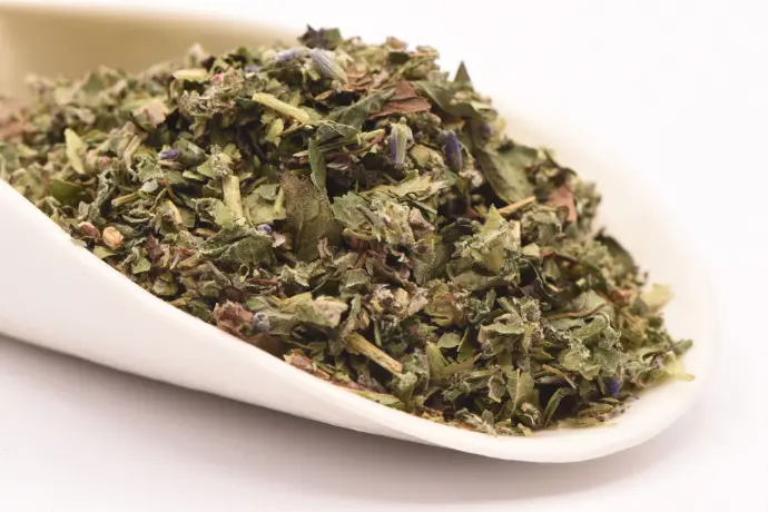 Du Vent dans les Branches