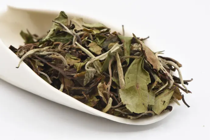 Bai Mu Dan - Bio (*)
