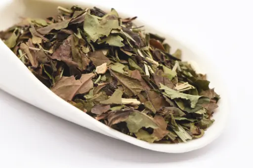 [18499] Brise des Cévennes