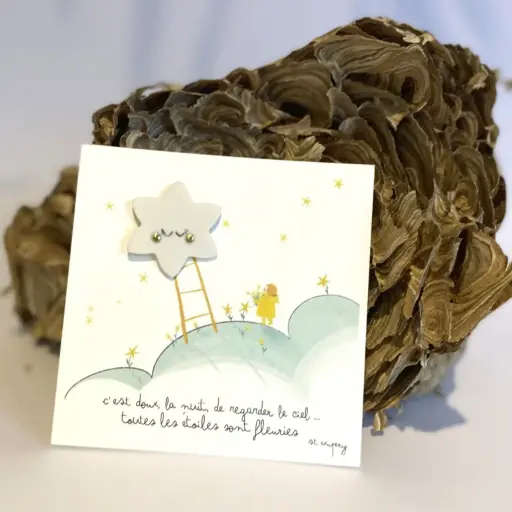 Broche "ACCROCHE-COEUR" - Regarder le ciel