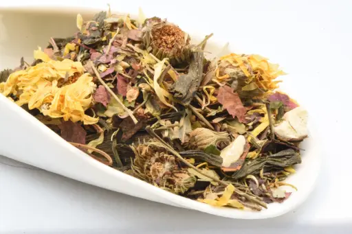 [B/03521] Jolie Gazelle